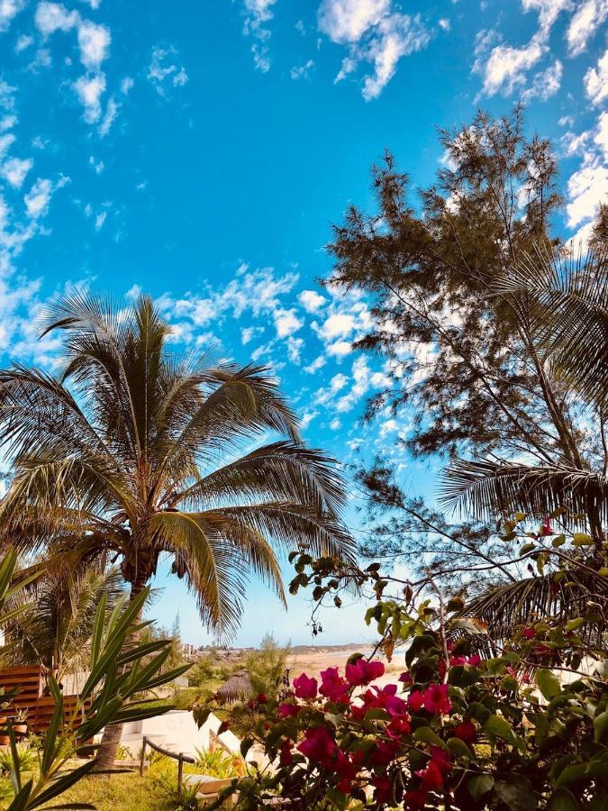 Bed and Breakfast Liquid Dive Adventures Praia do Praia do Tofo Exterior foto
