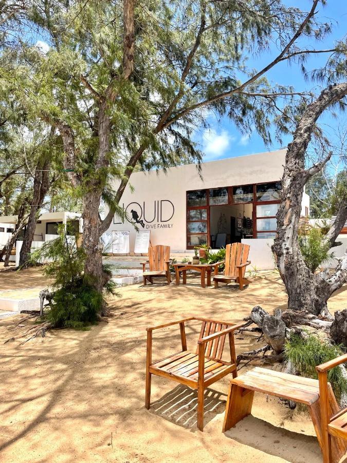 Bed and Breakfast Liquid Dive Adventures Praia do Praia do Tofo Exterior foto